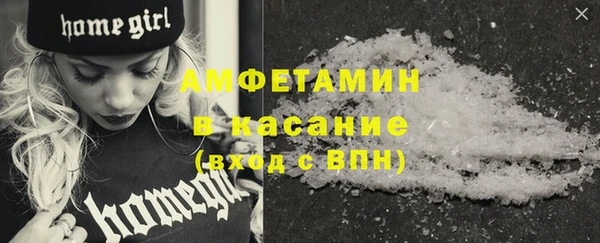 сатива Горняк